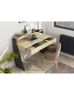 1421 - bureau script chenna/omb