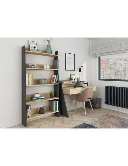 1422 biblio.script chena/ombre