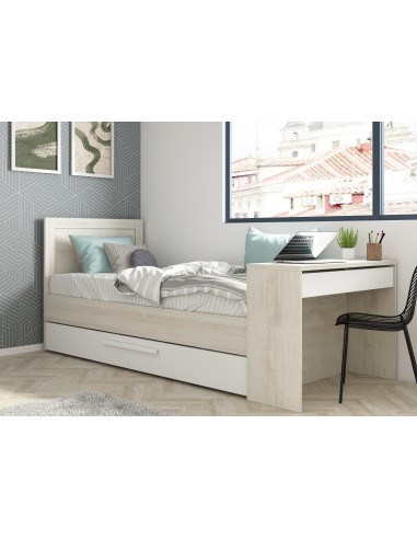 1950 - lit gigogne p.casc/blc shipley