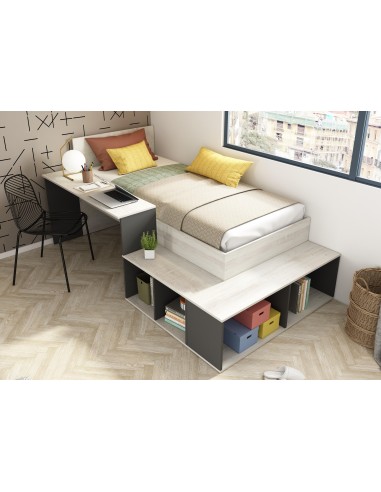 6043 lit pupit.casc/ombr.blake