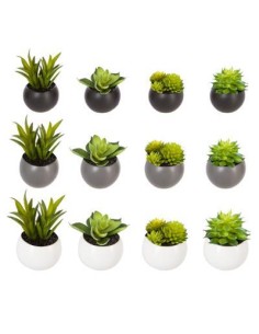 114759 - plante g magnet aori h5 D. 7,5 x H. 8 cm