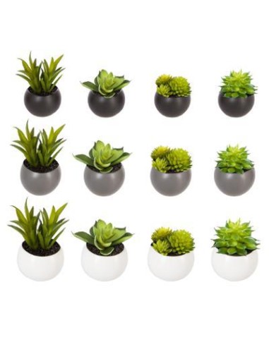 114759 - plante g magnet aori h5 D. 7,5 x H. 8 cm