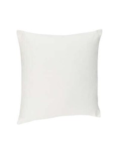 103850a-coussin dehoussable ivoi 38x38