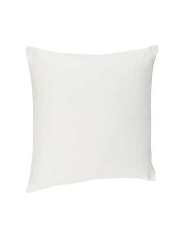 103850a-coussin dehoussable ivoi 38x38