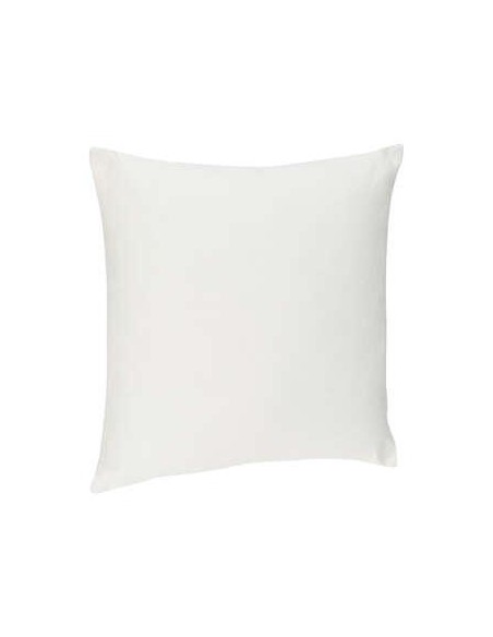 103850a-coussin dehoussable ivoi 38x38