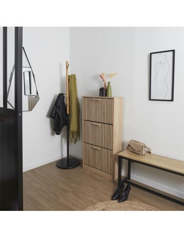 hd0206_dom - meuble a chaussure 3 portes klaus m1