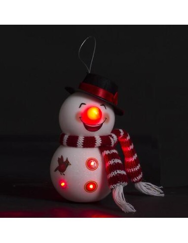 143095 - sdn int bn nez rg 6l rg p