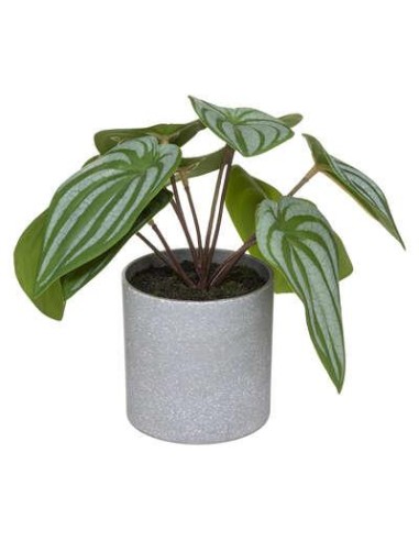 185448 - plante pot melamine gr h18