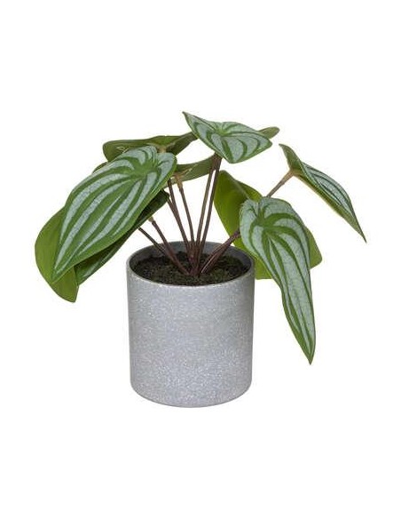 185448 - plante pot melamine gr h18