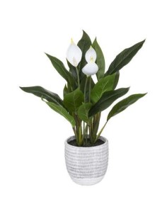185473 - lys pot cim strie h54