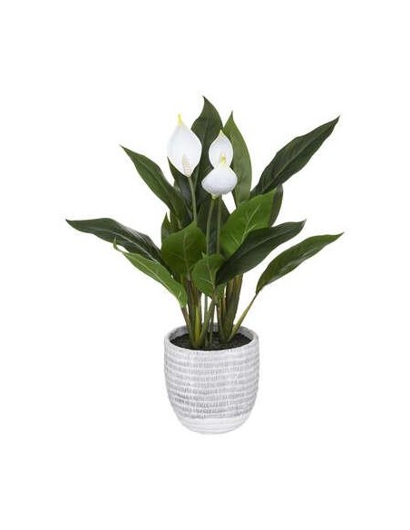 185473 - lys pot cim strie h54