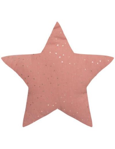 coussin berlingot etoile terra