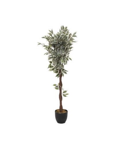 116275a - ficus artif bico h120