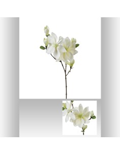 116021 - tige magnolia carole blc h83