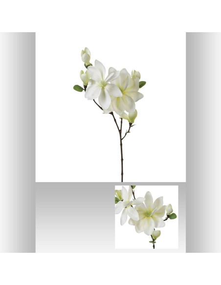 116021 - tige magnolia carole blc h83