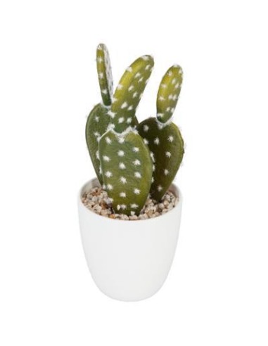 155600 - plante cactus nori h20 box D. 7,5 x H. 20 cm
