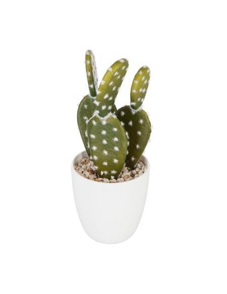 155600 - plante cactus nori h20 box D. 7,5 x H. 20 cm