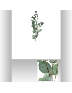 164263 - tige eucalyptus payla bleu h97