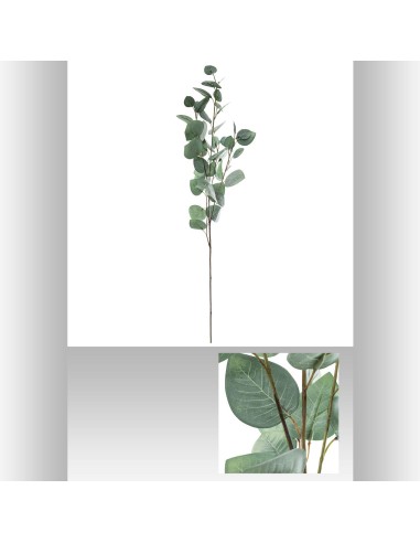 164263 - tige eucalyptus payla bleu h97