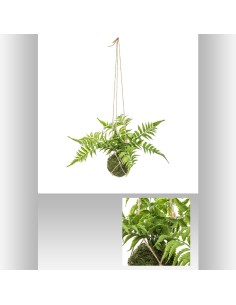 168640-suspension boule fougere D. 40 x H. 27 cm