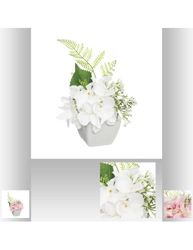 compo hortensia crmq h20