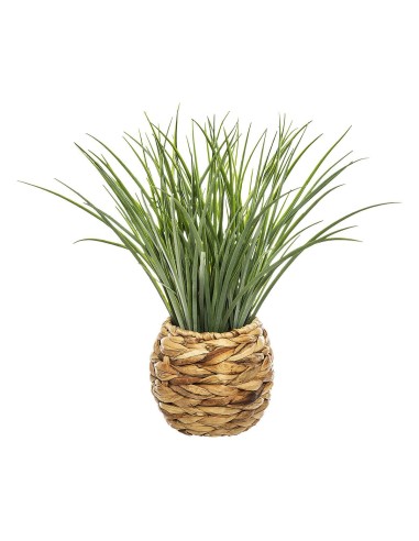 168588 - plante herbe pot nat moda h46