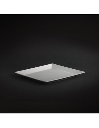 ass.plate 25cm square