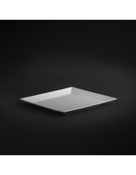 ass.plate 25cm square
