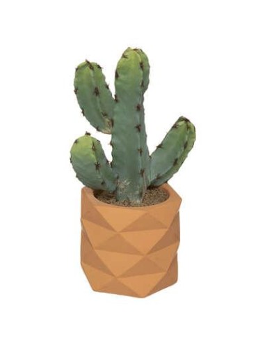 185452 - cactus pot crmq eff terra h24