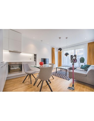 aspirateur balai ariete /violet