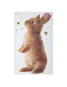 174169-sticker chat et lapin 32x50