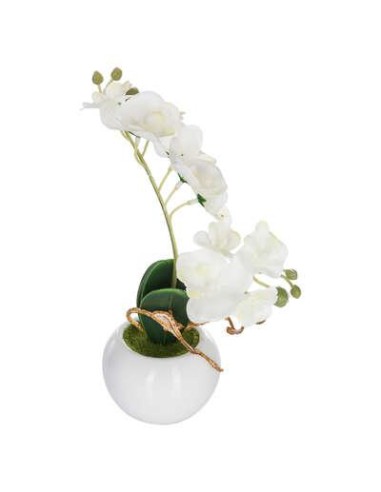 155716 - orchid pot crmq tajy h25