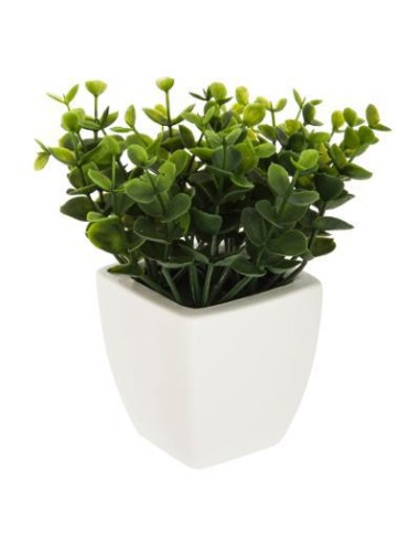 155637 - herbe pot crmq oko blc h15 L. 16 x P. 15 x H. 16 cm