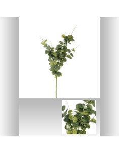 124150 - tige eucalyptus nayli h91