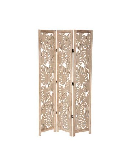 185641 - paravent palm nat