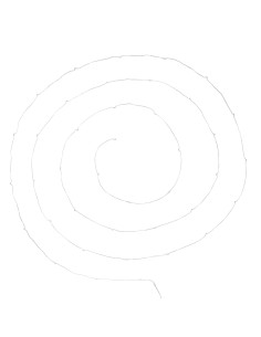 155586 - gld 40micro arg blcch l400