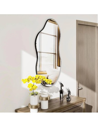 t2502-ss miroir amel - 97*135*2.5 - fer