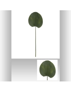 tige nenuphar feel h91