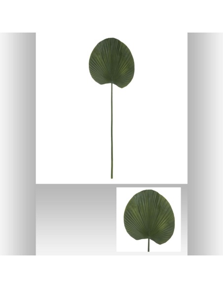 tige nenuphar feel h91