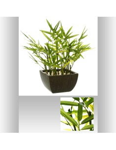 136751 - bambou pot crmq yori nr h35