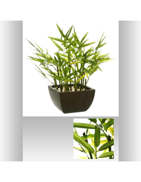 136751 - bambou pot crmq yori nr h35