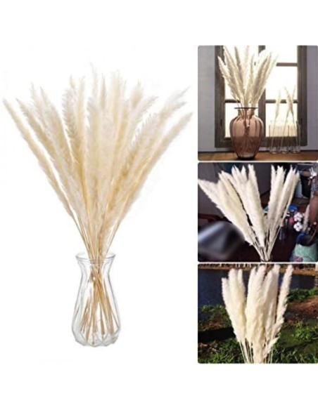 700672-lot de 10 tiges pampas coloris blanc h70cm