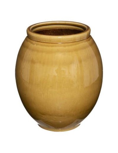 181443-pot crmq craq nam h38