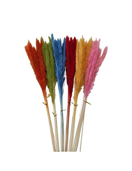 700429-lot de 10 tiges pampas coloris assortis h70cm