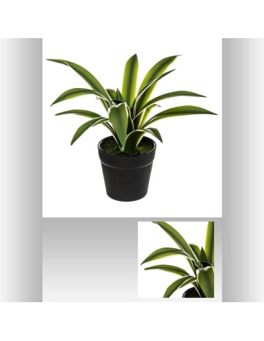 173022 - agave real touch pot h18