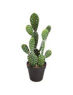 155725 - cactus nomade koni ass h42 D. 23 x H. 38 cm