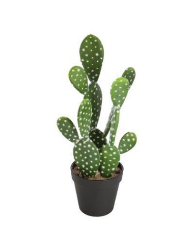 155725 - cactus nomade koni ass h42 D. 23 x H. 38 cm