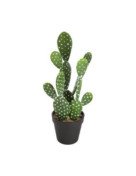 155725 - cactus nomade koni ass h42 D. 23 x H. 38 cm