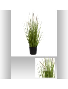 168626 - bunch herbe pot pl moma h70 D. 35 x H. 70 cm