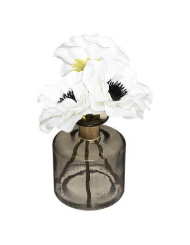 compo anemone vase vr suite